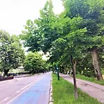 Green Apartment Daire *