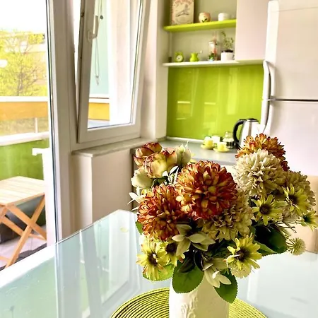 Green Apartment * サラエヴォ