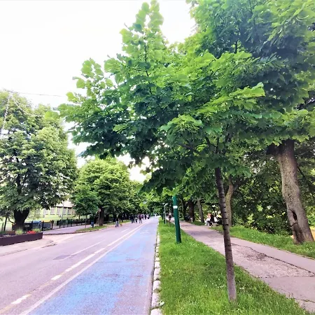 Green Apartment アパート *